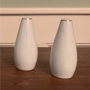 Like New! Style House Porcelain Platinum Ring Salt & Pepper Shaker Set